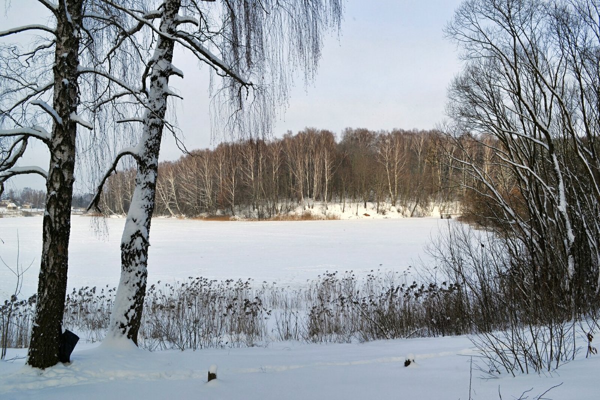 Зимний пейзаж - Милешкин Владимир Алексеевич 
