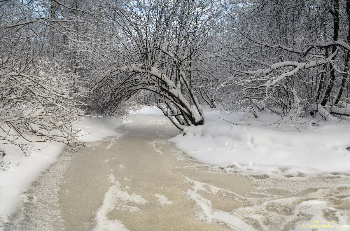Зима в Шуваловском парке - Valeriy Piterskiy