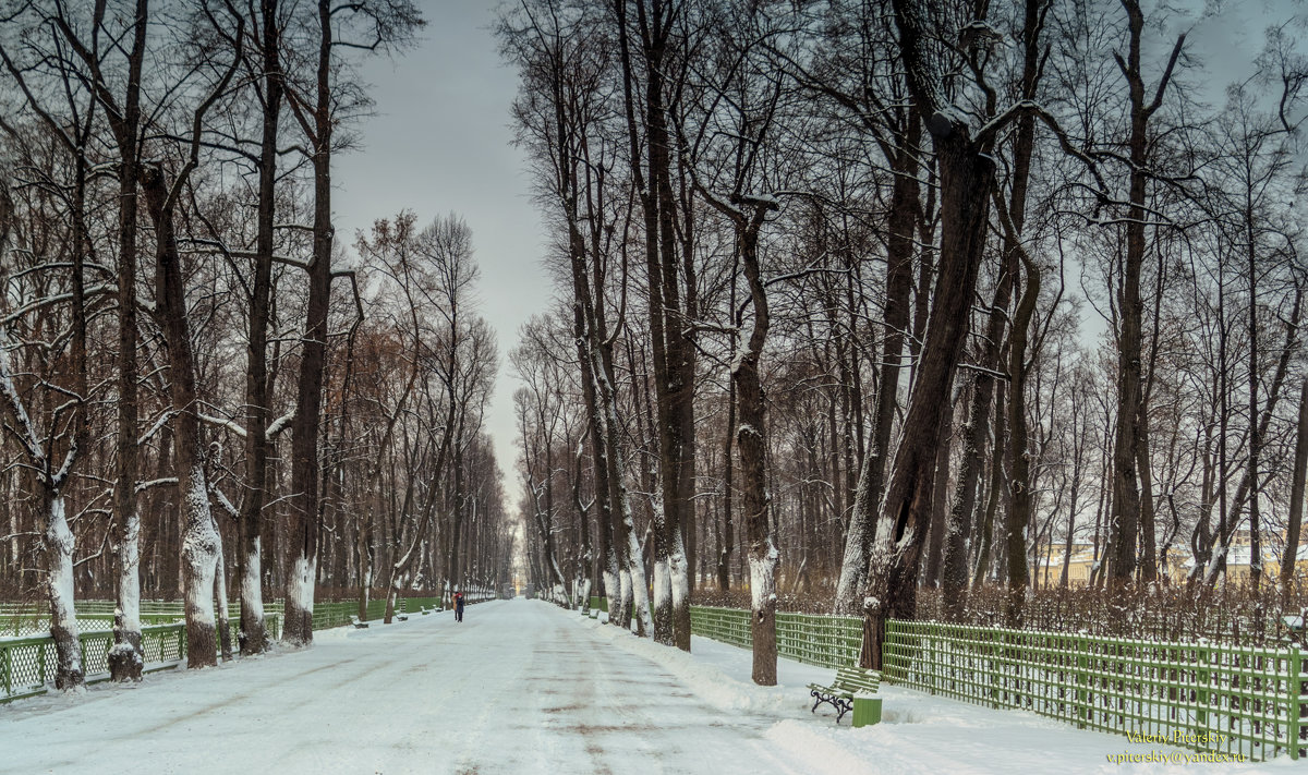Зимний Летний сад - Valeriy Piterskiy