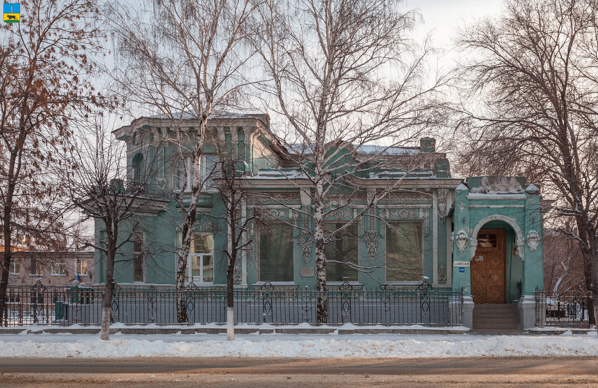 Сызрань. Бывший особняк купца В. П. Ревякина - Алексей Шаповалов Стерх