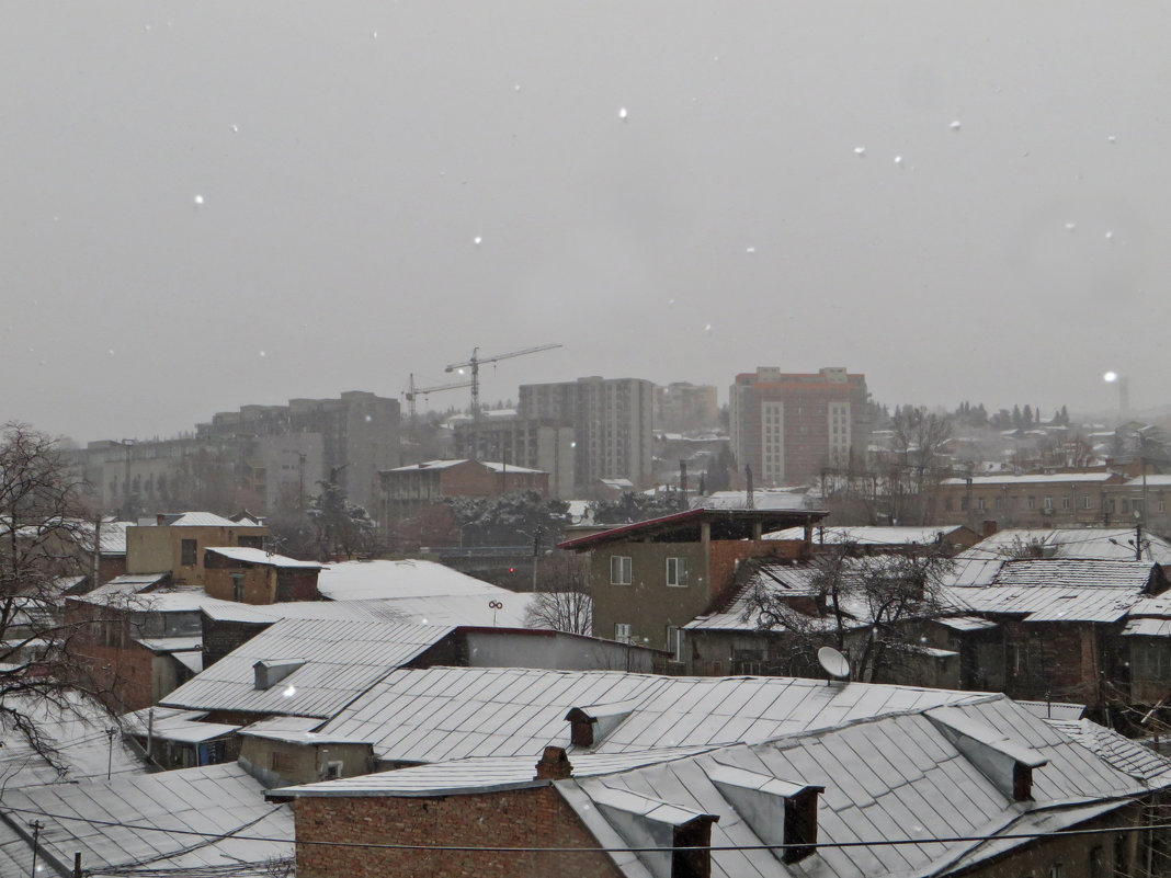В Тбилиси снег - первый - Наталья (D.Nat@lia)