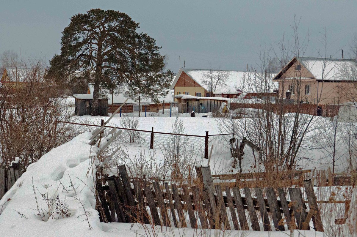 В огороде сосна, а в Перми внучка...)) - Владимир Хиль