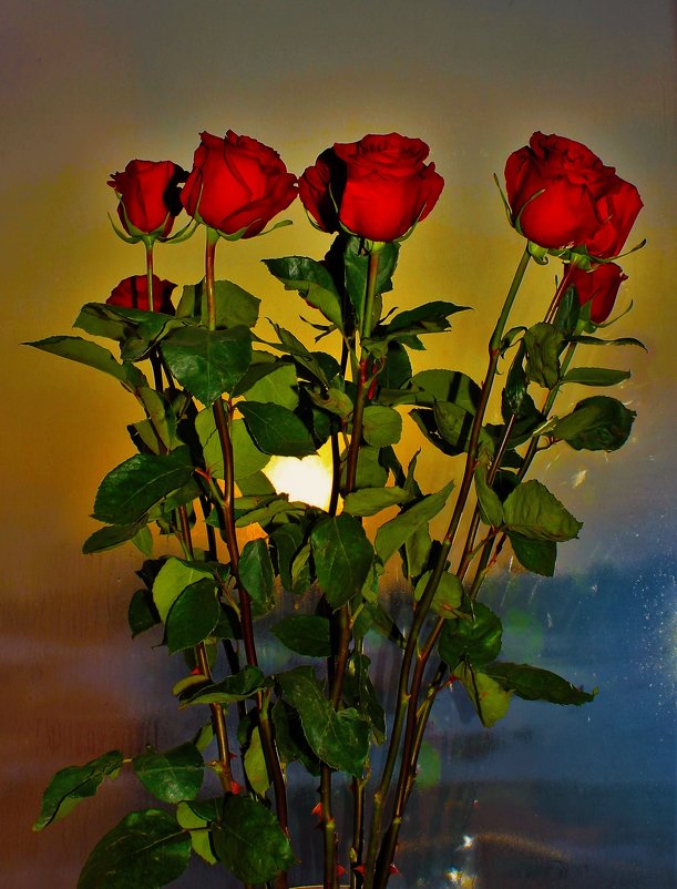 Розы на вечернем окне - Сергей Чиняев 