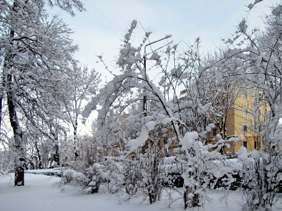 Зима в городе - veera v