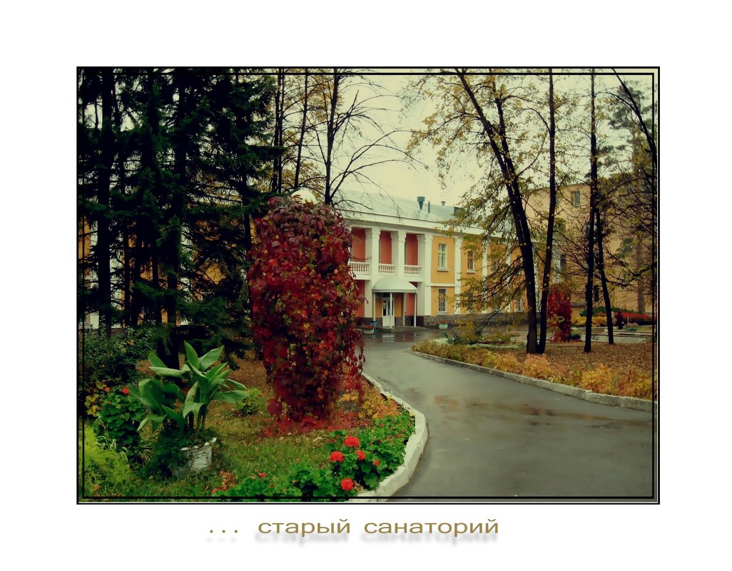 Барнаульский, 2012 г. - Николай Староверов