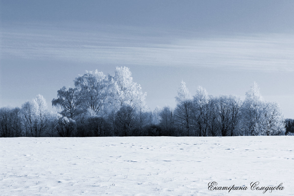 Зима – время летаргического сна природы - Екатерина Селедцова