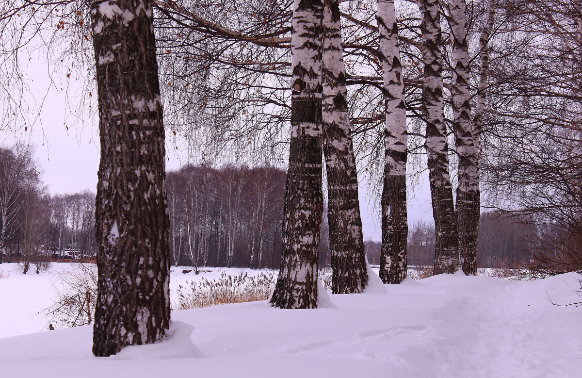 Зимушка-зима - Татьяна Ломтева