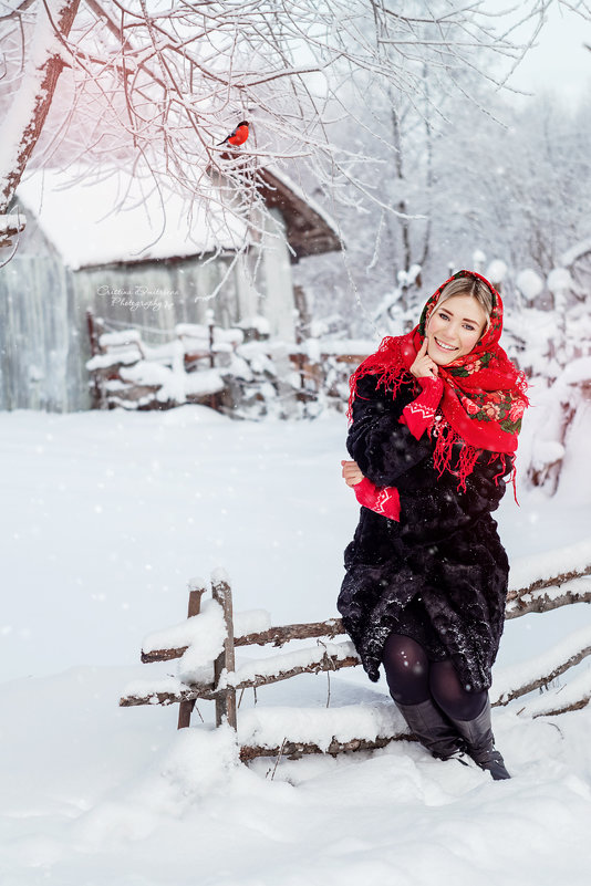 Зима в деревне - Кристина Дмитриева
