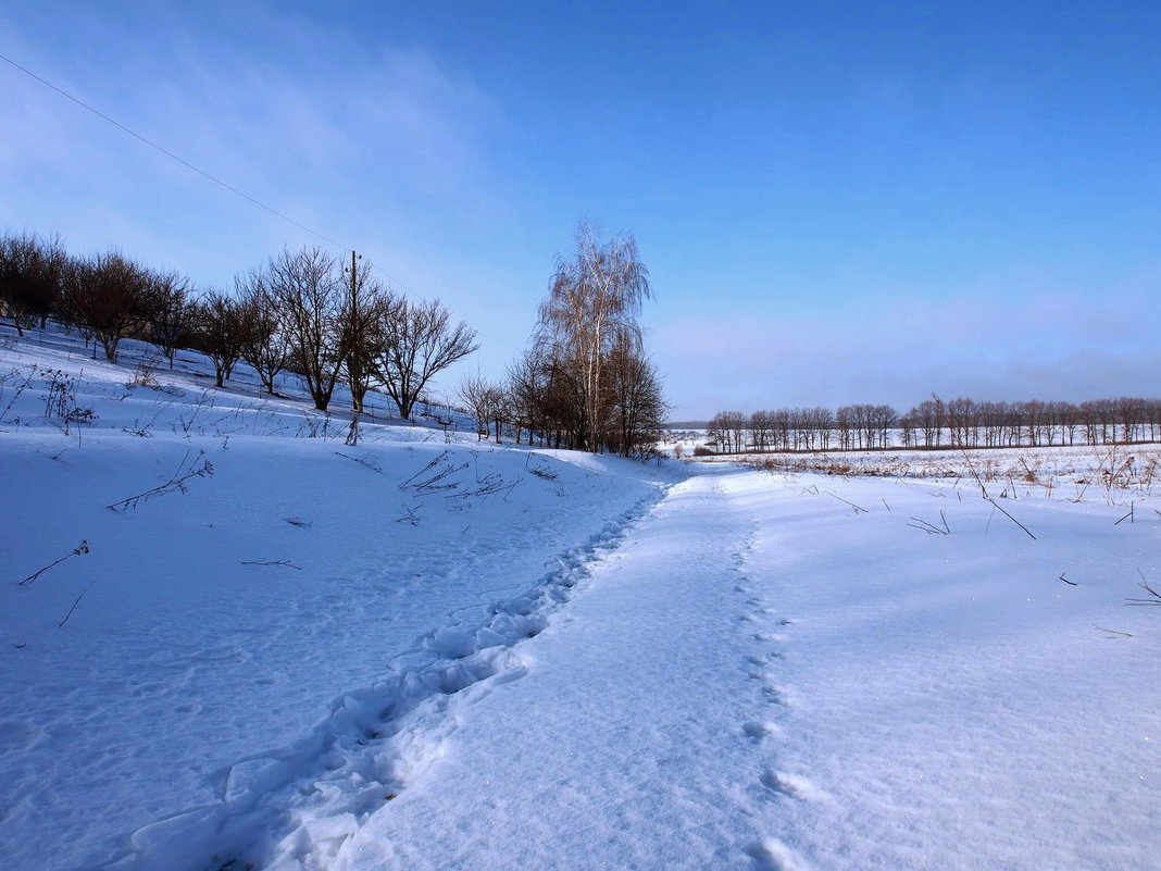 Экскурсия в Гадюкино зимой (11) - Александр Резуненко