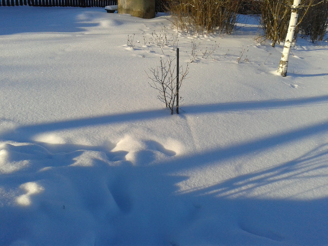 Тени   на   снегу - Мила 