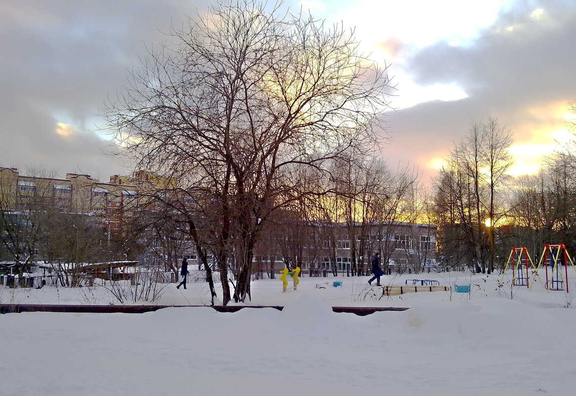 Зимний день - Любовь Чунарёва