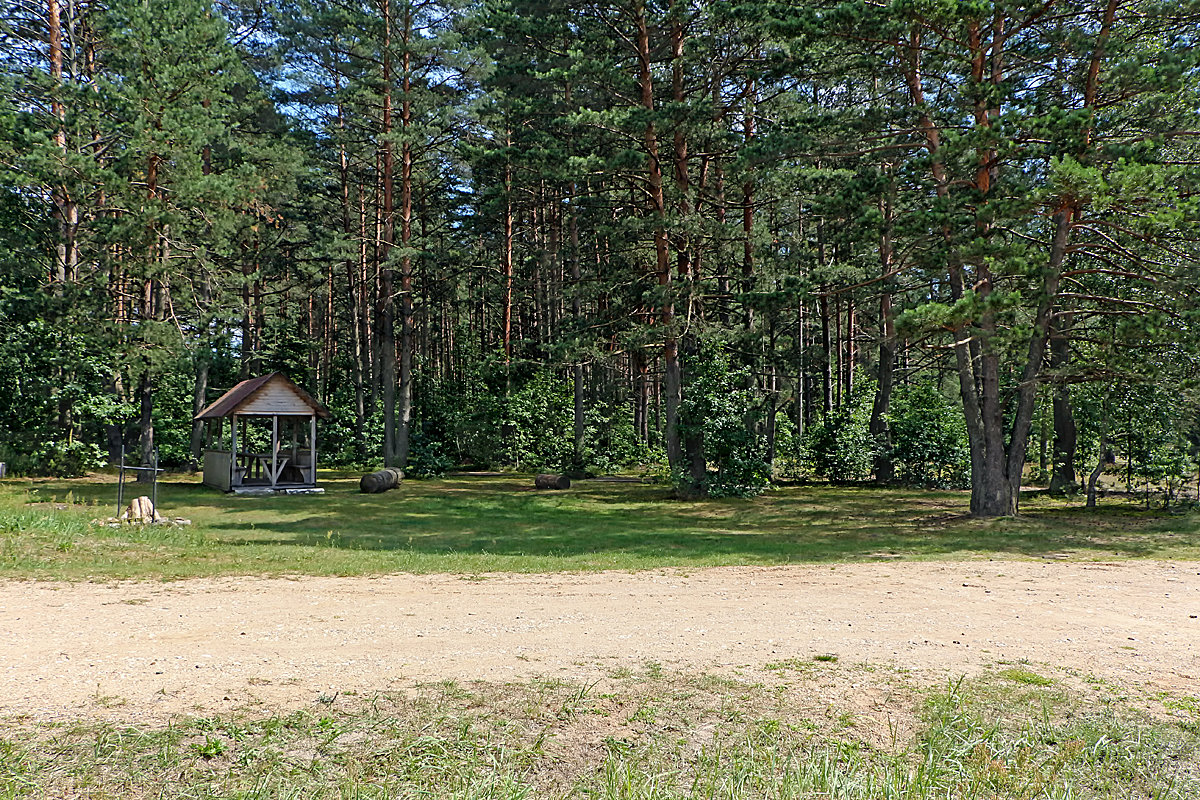 Полянка для отдыха в Беловежской пуще - Nikolay Garastiuk
