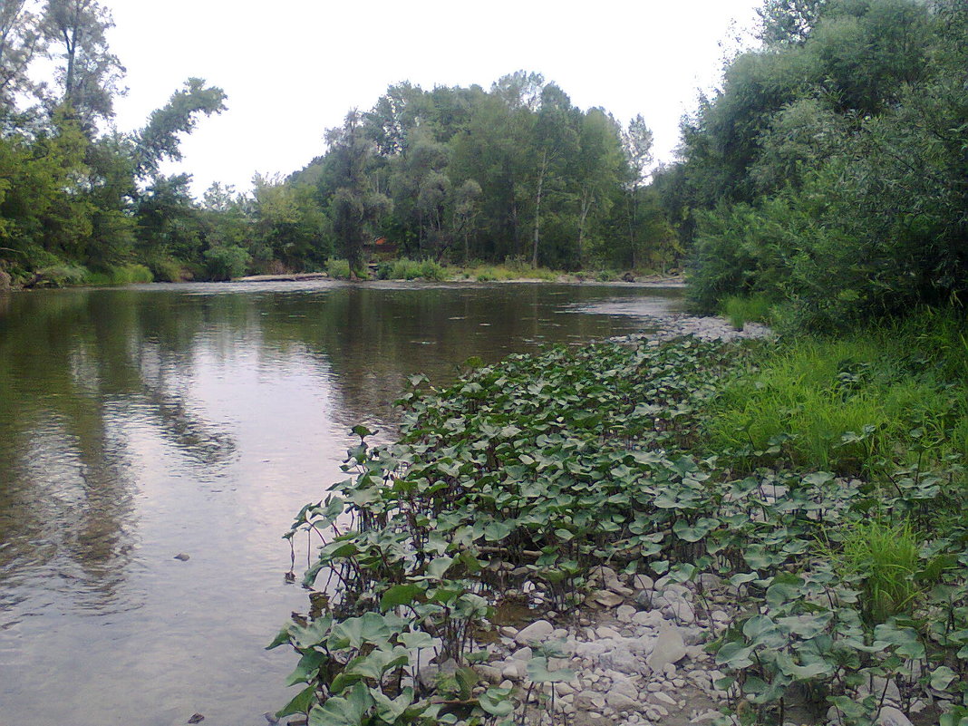 речка Ульба г. Усть-Каменогорск - Наталья Звонова