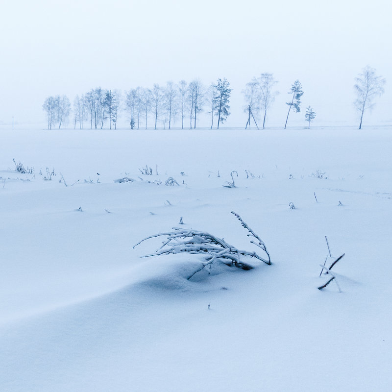 Зима 2 - Илья Любименко