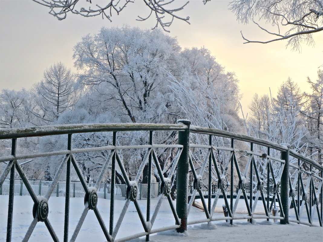 в парке - Елена 