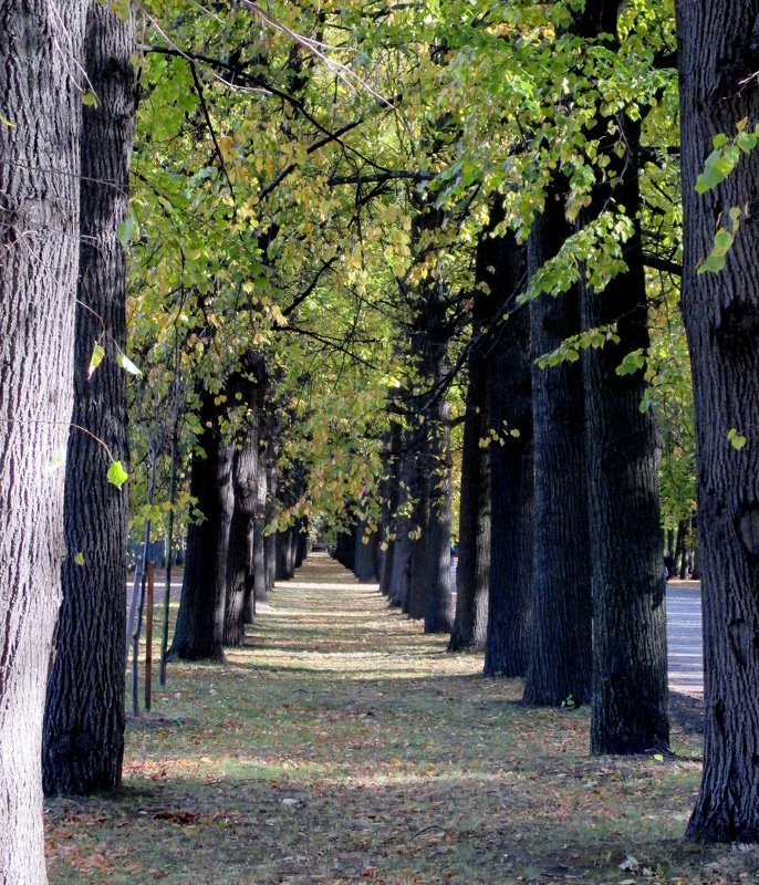 В парке - Агриппина 