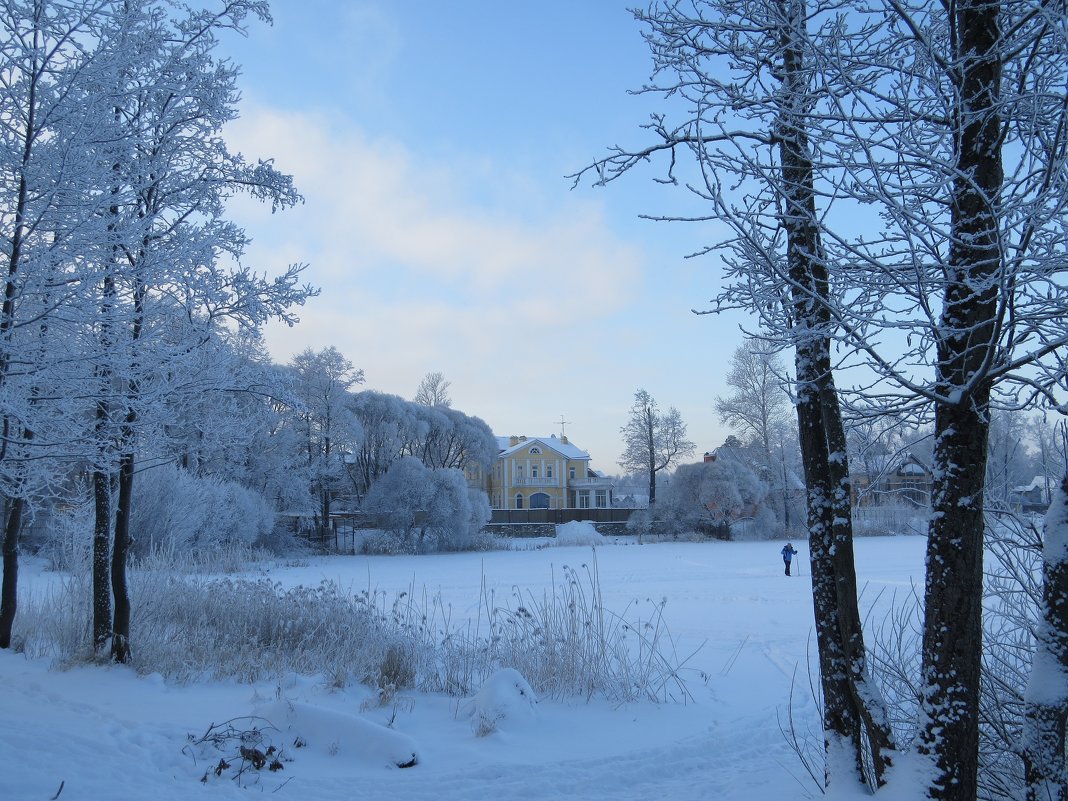Зимний пейзаж - Вера Щукина