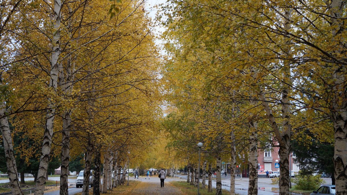 осень в городе - Alexandr Staroverov