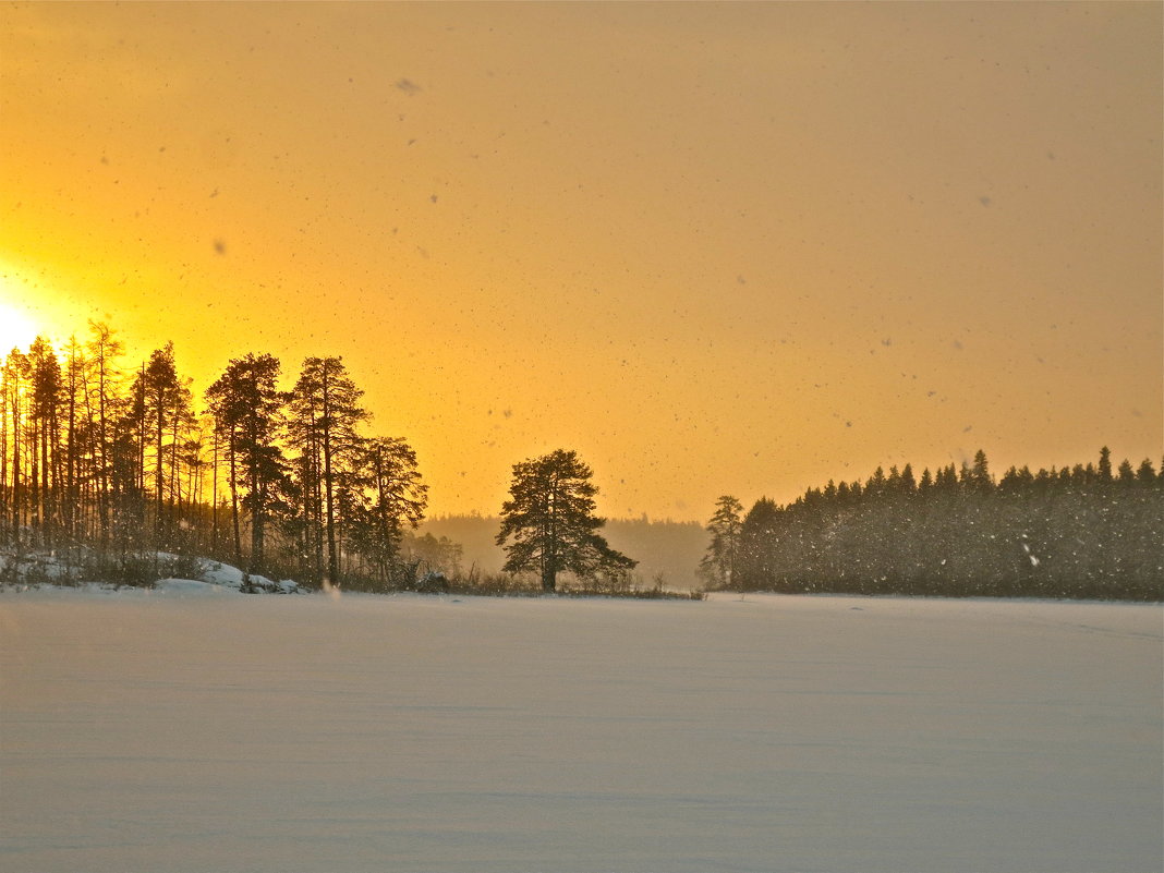 Снегопад с оранжевого неба - Елена 