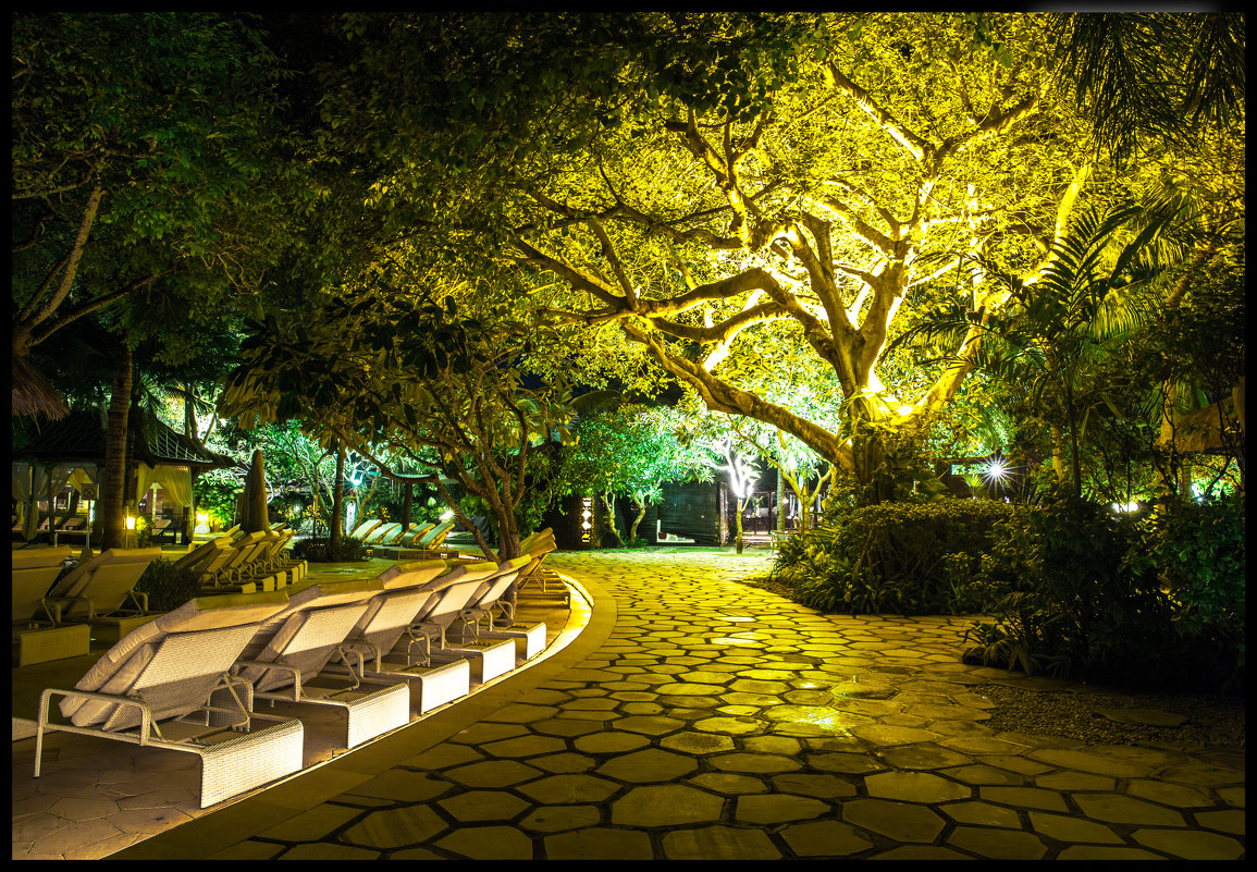 LIGHTING TREE - LEVAN TAVADZE