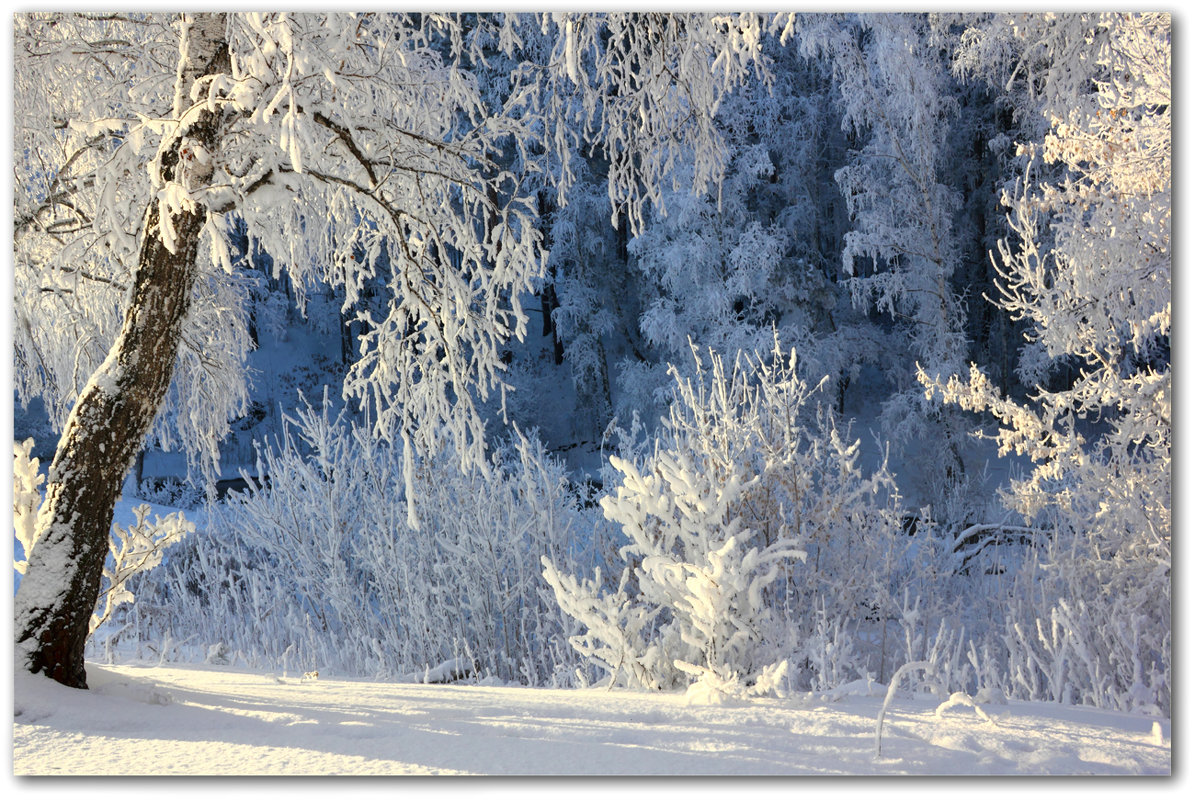 Зима - Мария Кухта