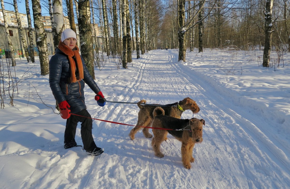 Случайная встреча... - VADIM *****