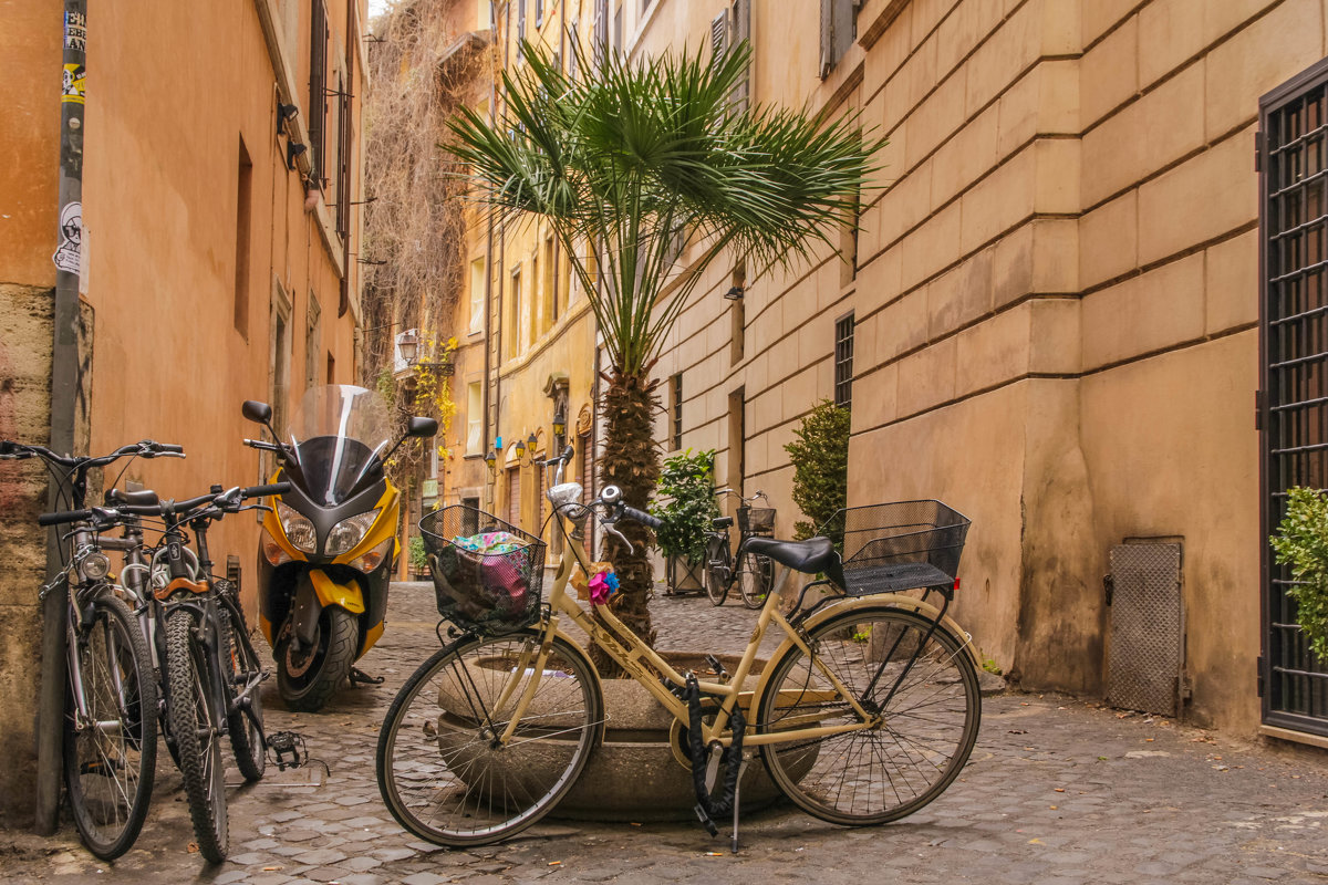 Roma bike - Alena Kramarenko