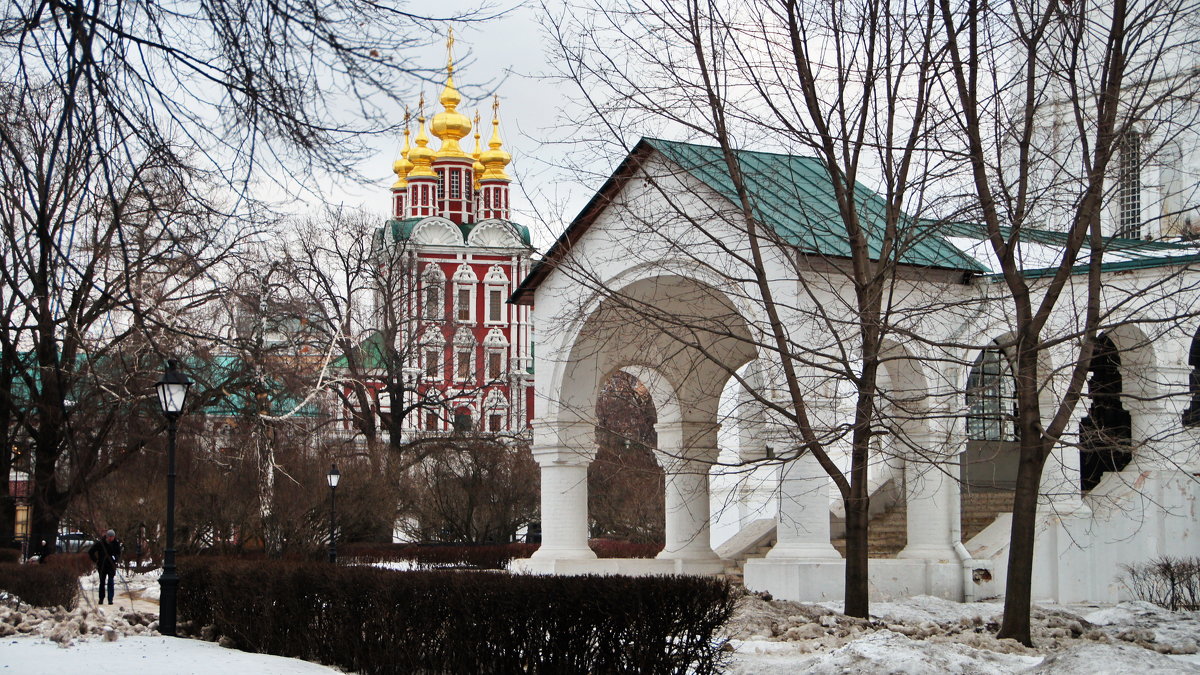 Новодевичий монастырь - Лара ***