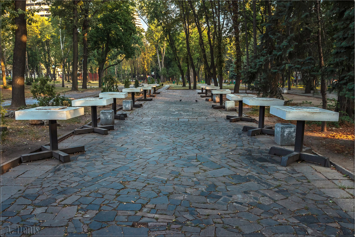 Тихим утром в парке им. Т.Г. Шевченко - Denis Aksenov