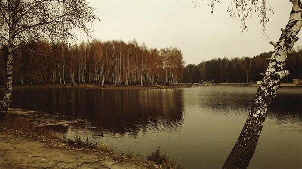 Озеро ключевое под Смоленском - Николай 