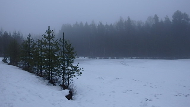 Февраль...туманное утро на озере... - Ljudmila Korotkova