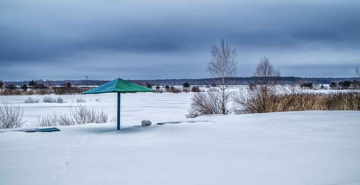 Зимний пляж - Андрей Дворников