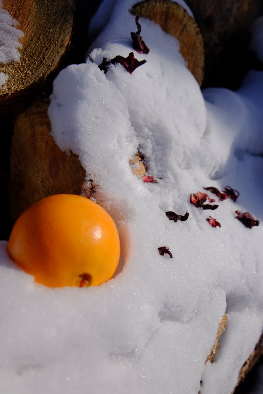 Жаркий апельсин и снежный холод - Елена Фалилеева-Диомидова