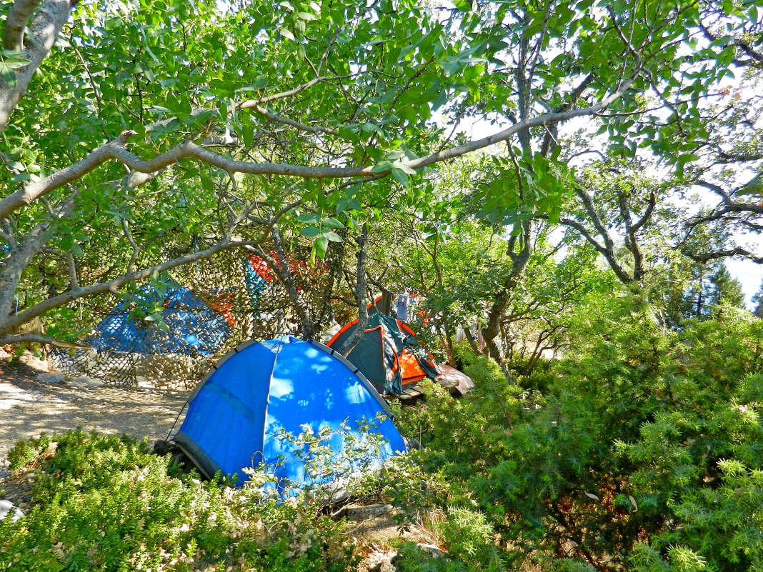 Палаточный лагерь - Люша 