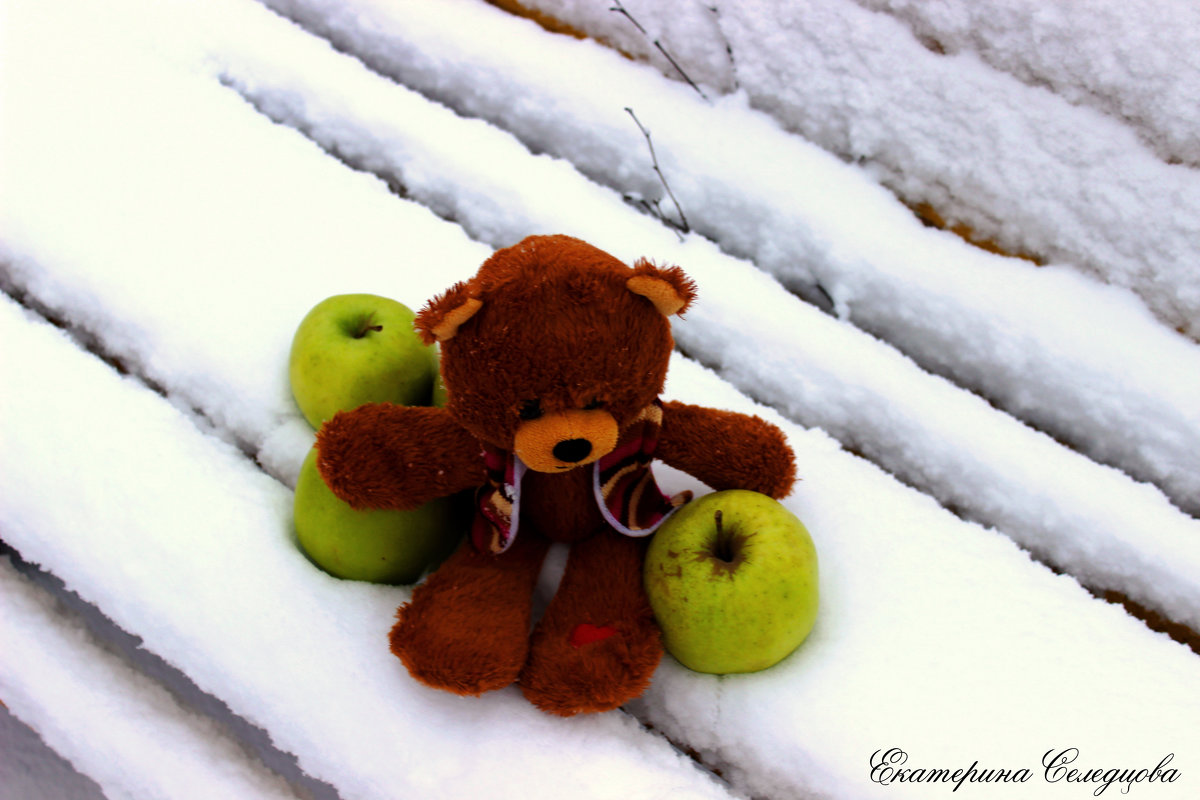 Яблоки на снегу... - Екатерина Селедцова