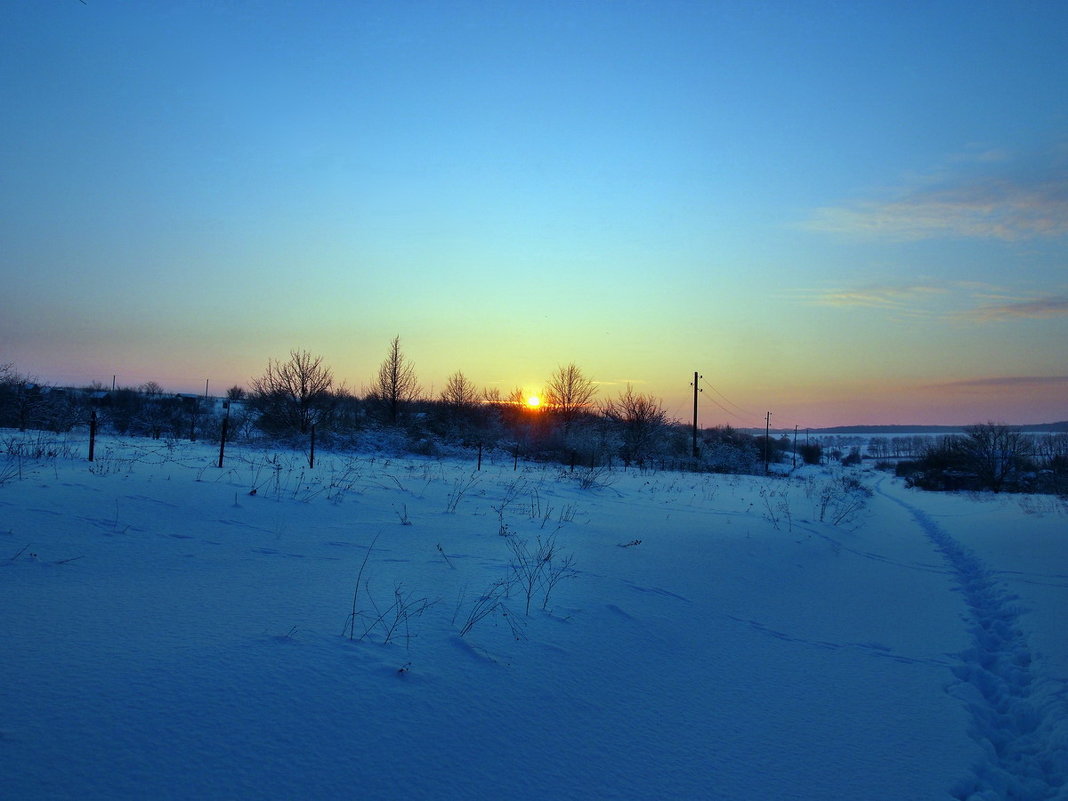 Экскурсия в Гадюкино зимой (42) - Александр Резуненко