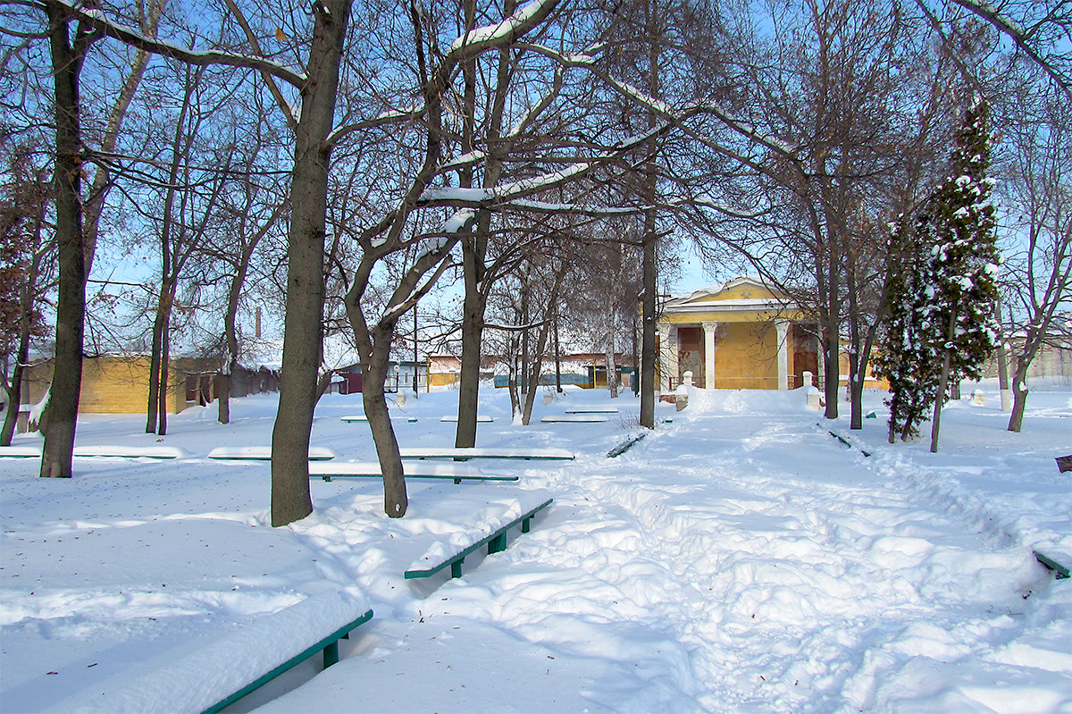 Зимний парк железнодорожников - Canon PowerShot SX510 HS