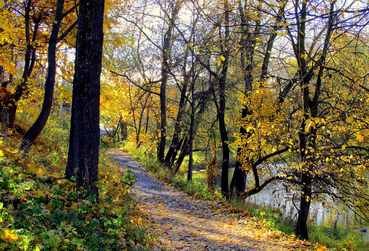 Осенняя дорожка у реки - Leonid Tabakov