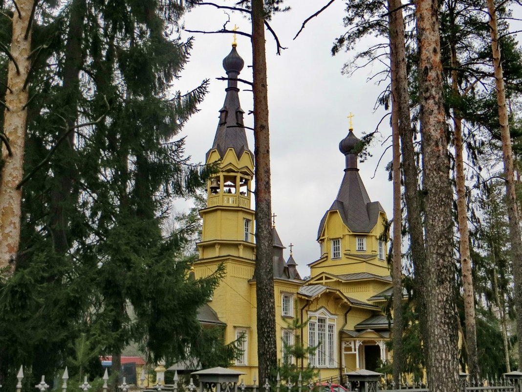 Церковь Петра и Павла в Вырице - Елена Павлова (Смолова)