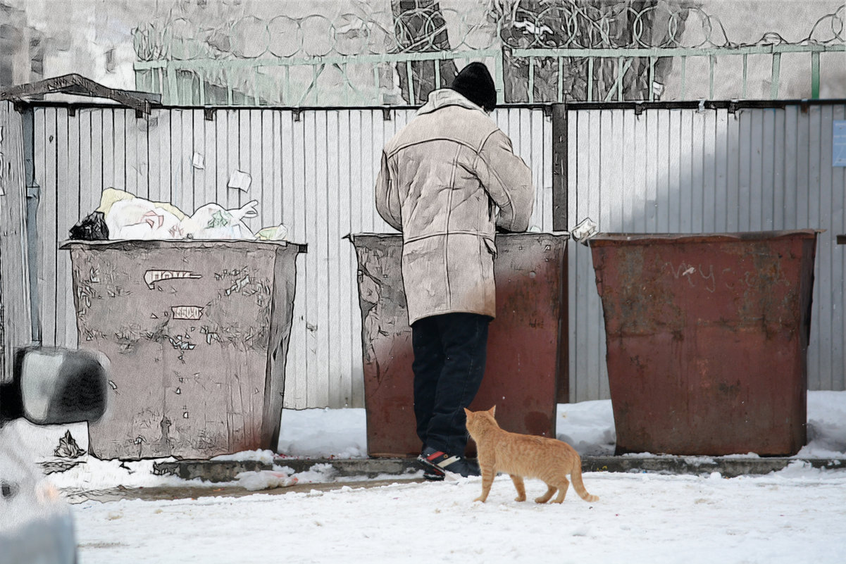 Бездомная жизнь - Владимир Сотман