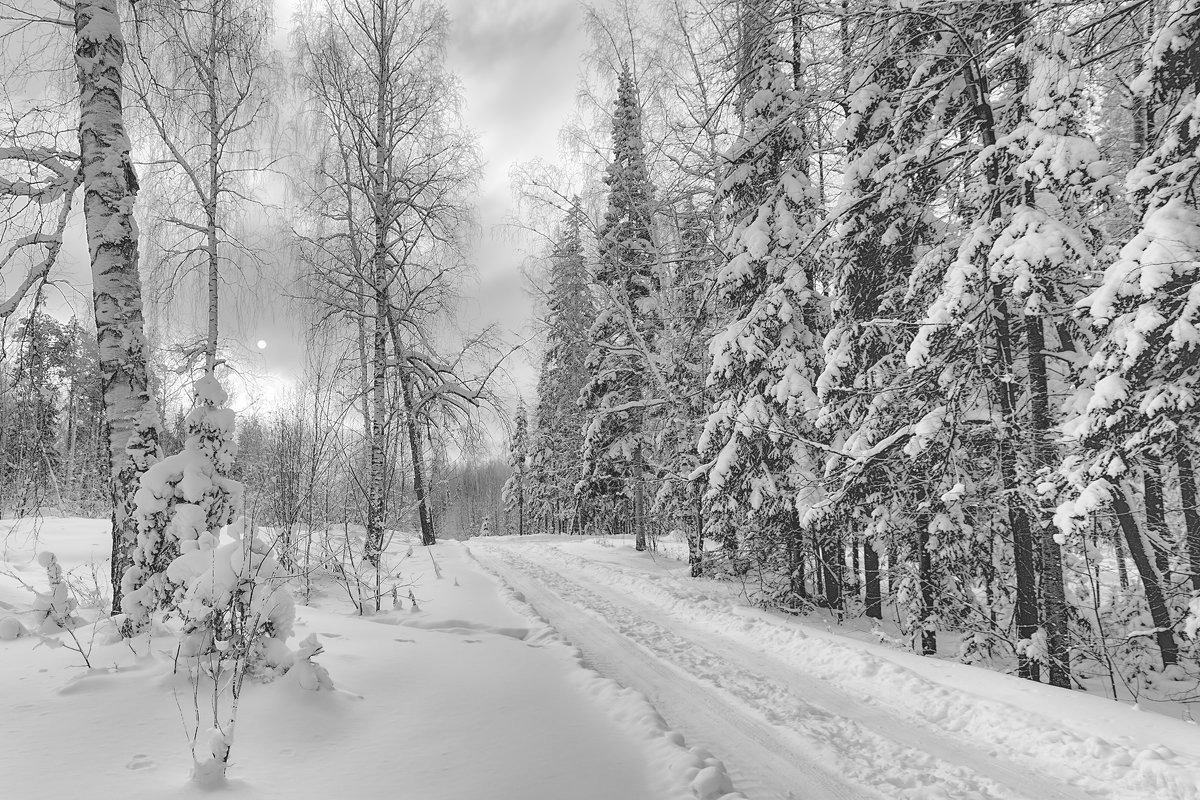 Зимняя дорога - vladimir Bormotov