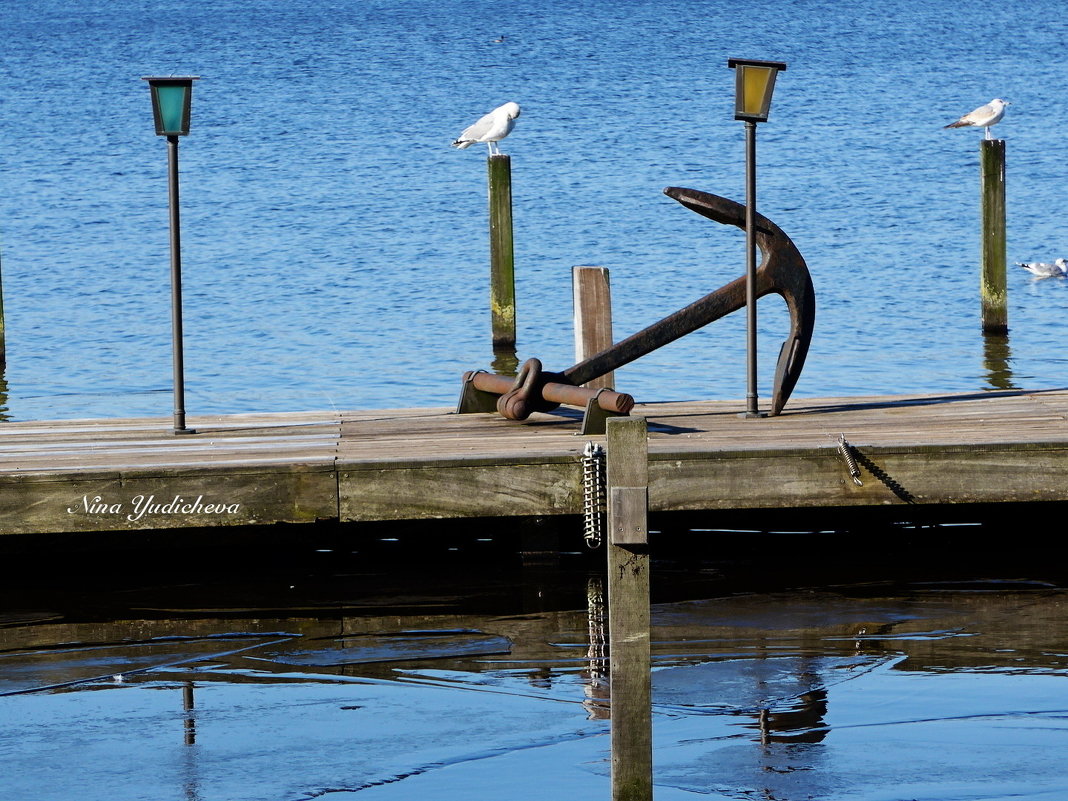 Hamburg. Alster - Nina Yudicheva