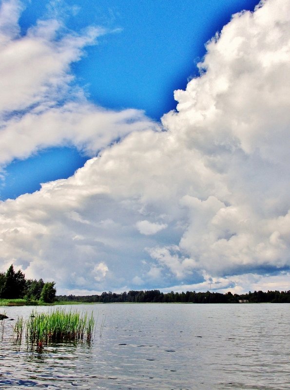 Небо над озером - Leonid Tabakov