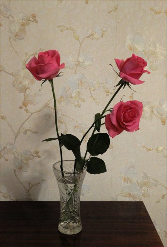 Розы от любимого - Светлана Лысенко