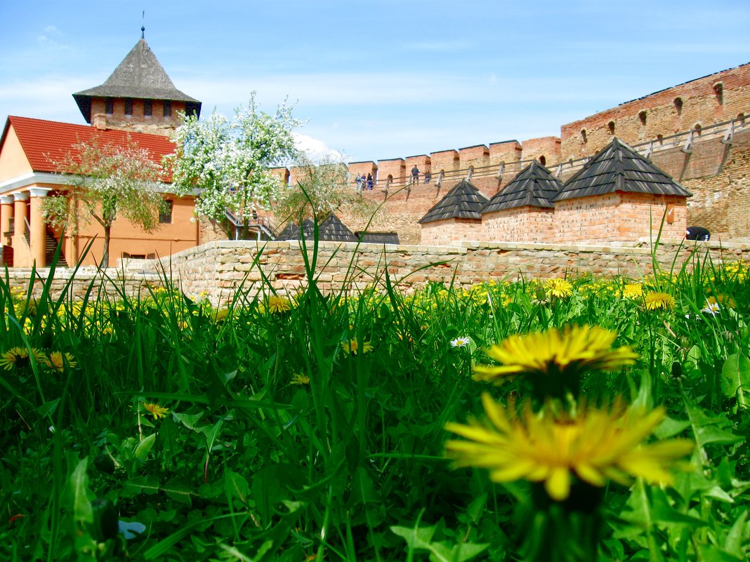 У Луцькому замку - Леся Українка