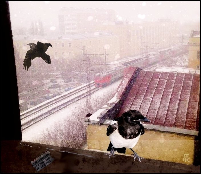 В городе снег. - Григорий Кучушев