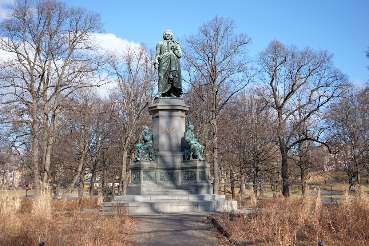 Памятник Carl von Linné в Стокгольме - wea *