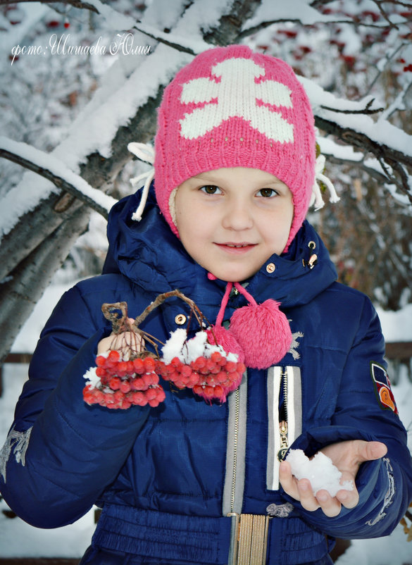Зимние грозди рябины - Юлия Шишаева