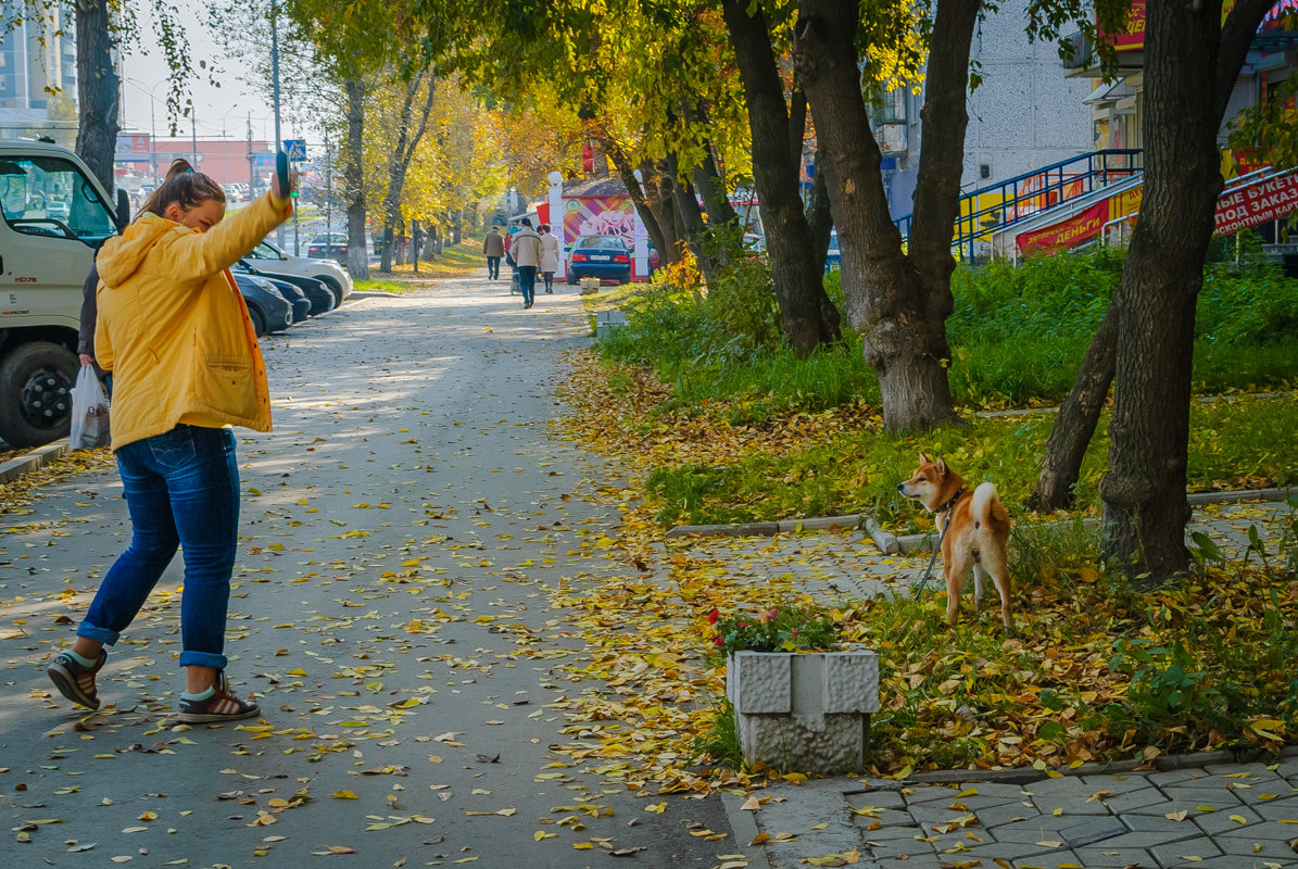 Прогулка по городу - Михаил Аверкиев