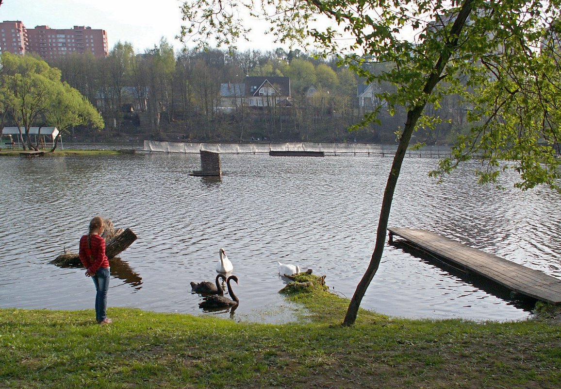 Весна на реке - Вера Щукина